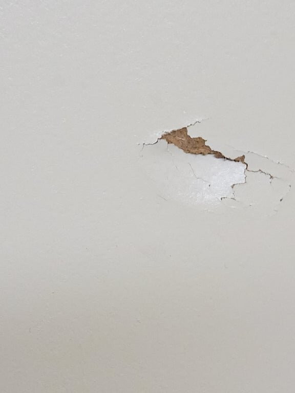 Comfort Inn & Suites High Point - Archdale主图