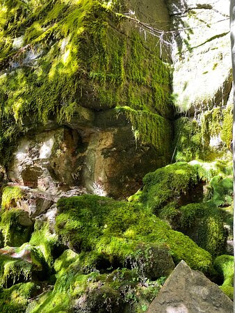 Moss Garden-Carnarvon National Park必去景点