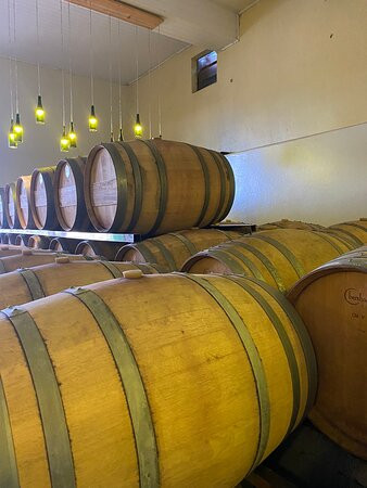 Vinícola Terragnolo-本图贡萨尔维斯必去景点