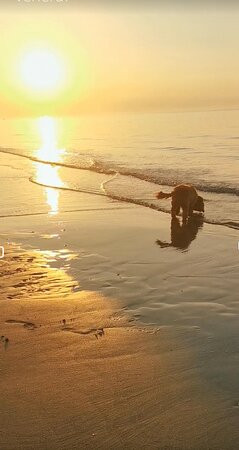 Bau Bau Beach-Lido di Jesolo必去景点
