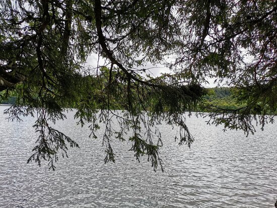 Lac de Guéry景点图片