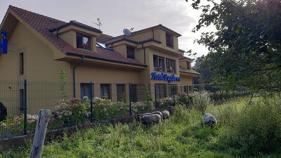 Hotel Pugide主图