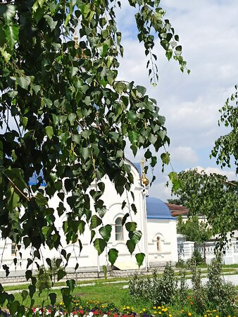 Holy Odigitrievsky Cathedral景点图片