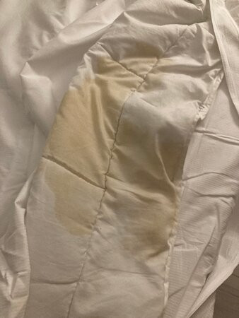 Anor Hotel & Conference Center Frankfurt Airport主图