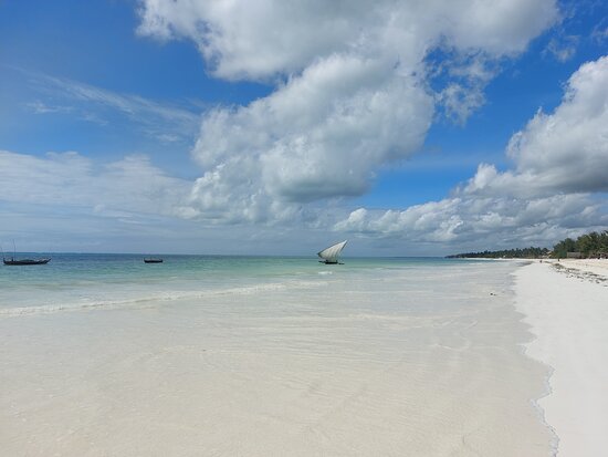 Mchanga Zanzibar-官方