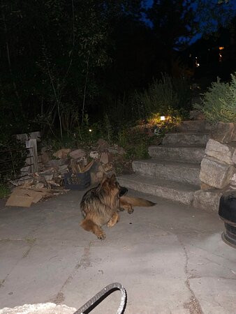 Bed and Breakfast on Mitchell Creek主图