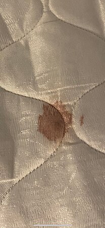 Hilton Garden Inn Twin Falls主图