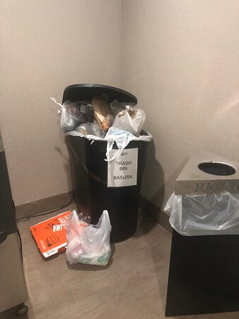 Homewood Suites By Hilton Sarasota主图