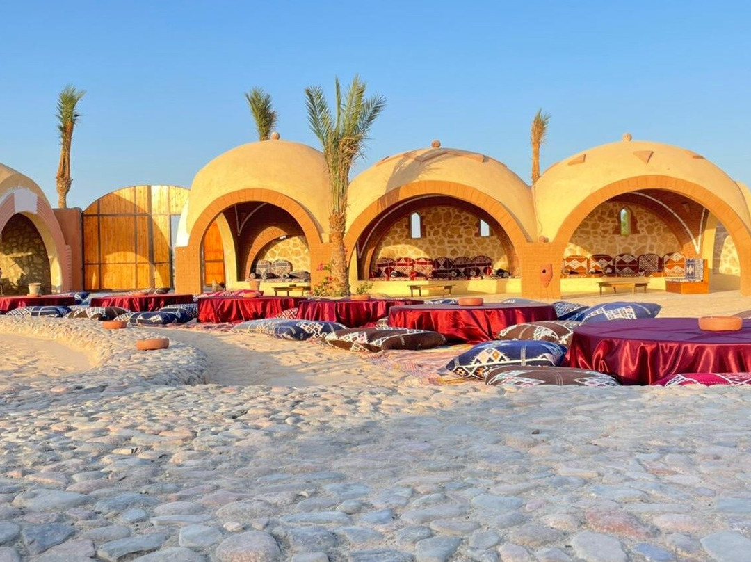 Scorpion Safari-赫尔格达必去景点