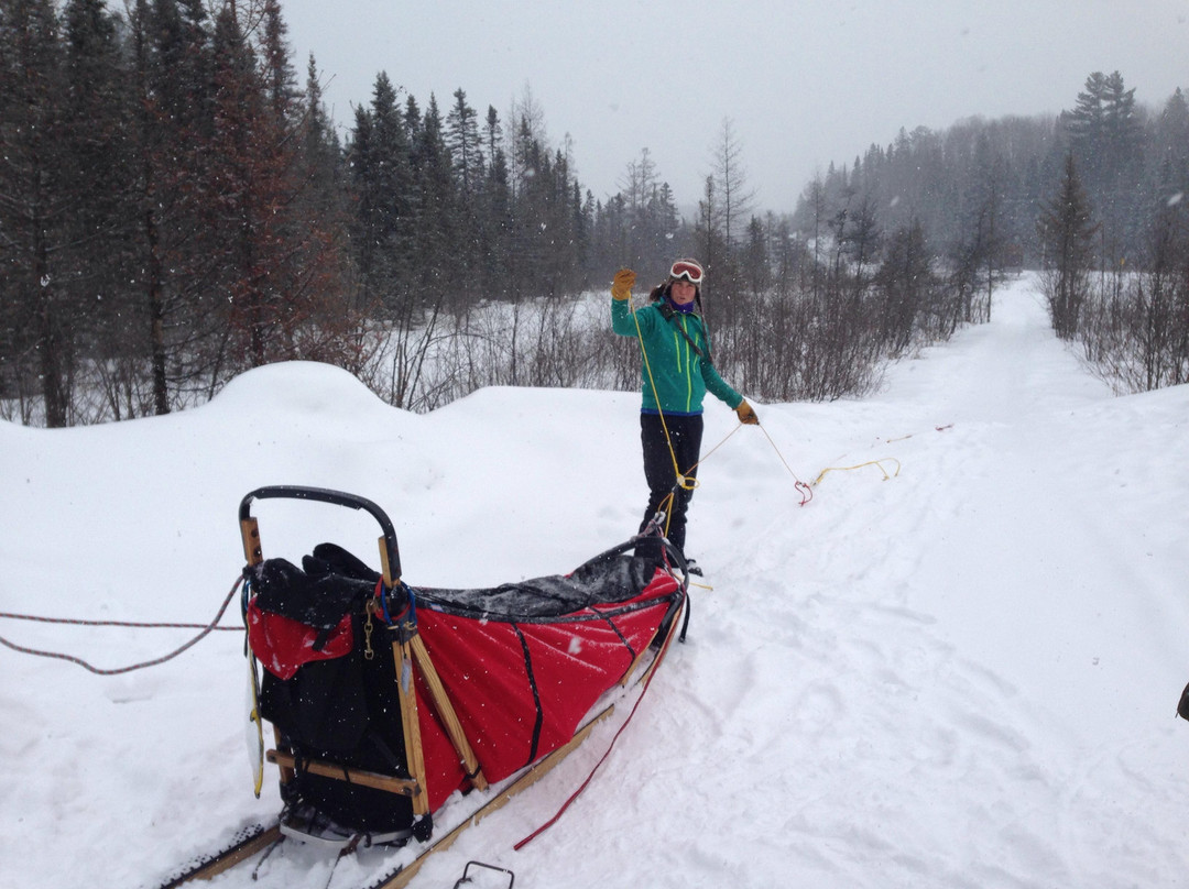 Snow Forest Adventures-阿冈昆公园必去景点