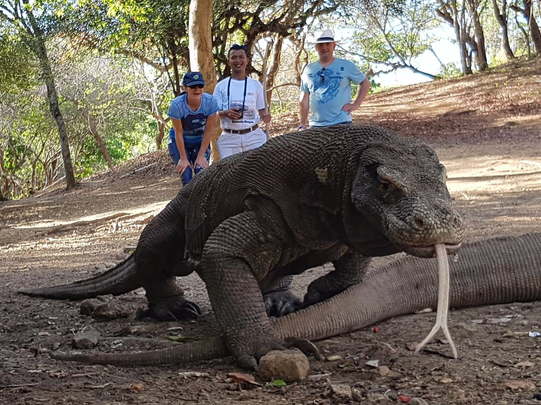 Komodo Island Tour-Labuan Bajo必去景点