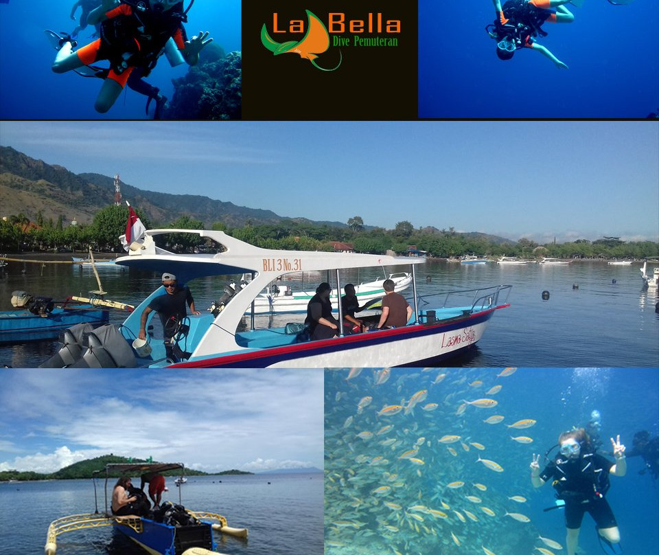 La Bella Dive Pemuteran景点图片