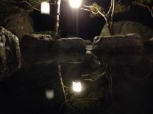 Yumoto Takeyama Kogen Onsen-北广岛市必去景点