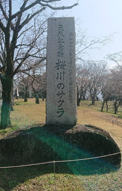 Isobe Sakuragawa Park