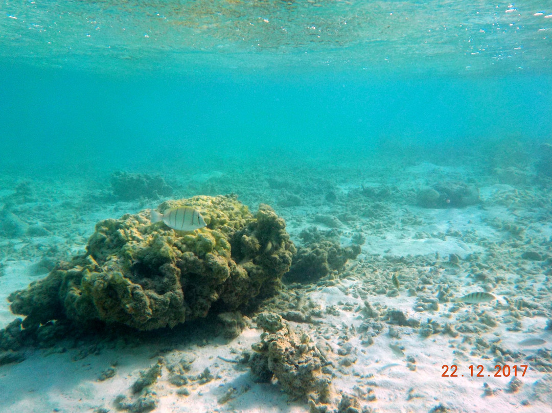 拉斯胡旅游攻略图片