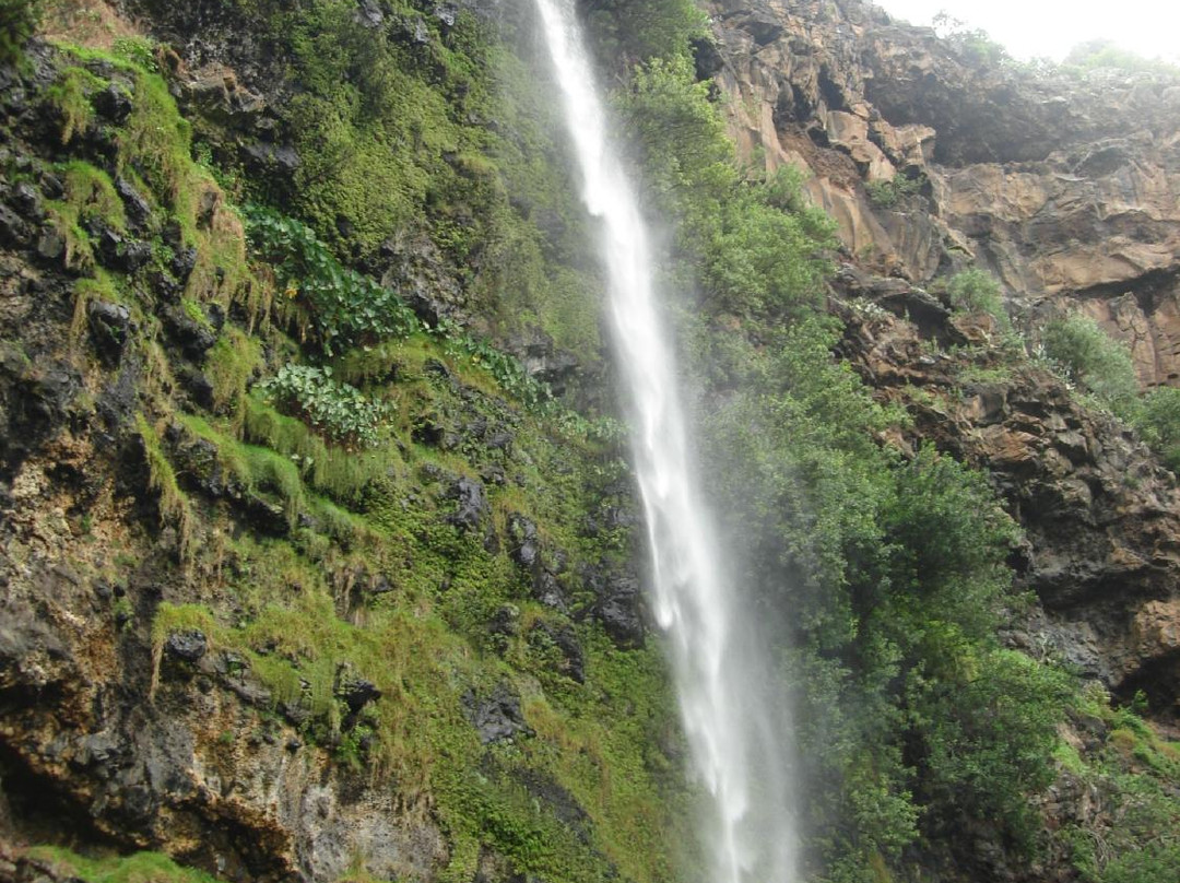 Heart Shaped Waterfall-St Helena Island必去景点