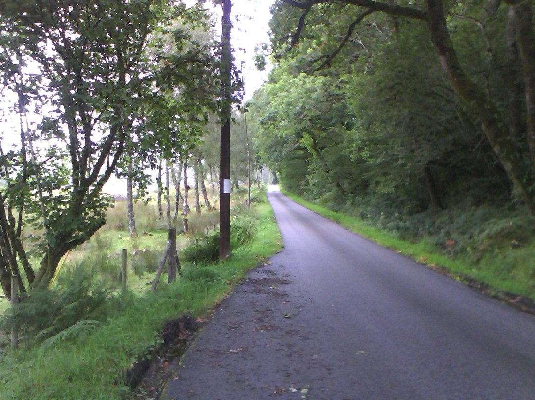 Dalavich旅游攻略图片