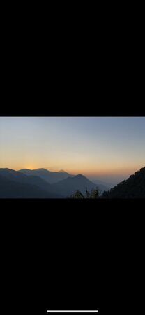 Nest And Hives主图