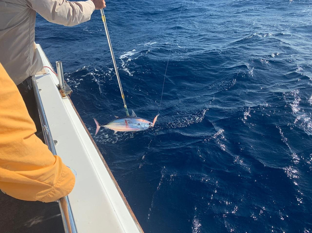 Maverick Fishing Charters景点图片