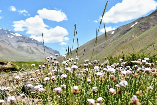 Termas de Cajon Grande-Malargue必去景点