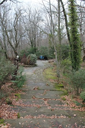 Dagomys Tea Plantation-索契必去景点