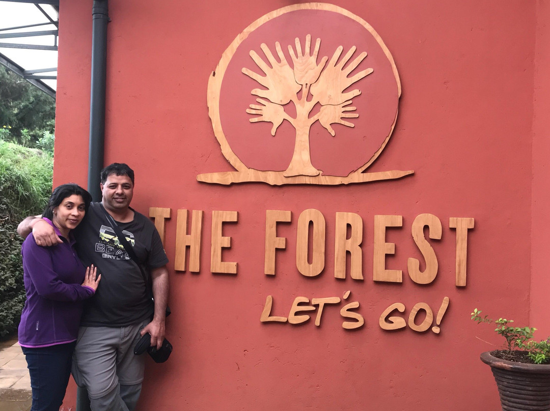 The Forest Adventure Centre景点图片