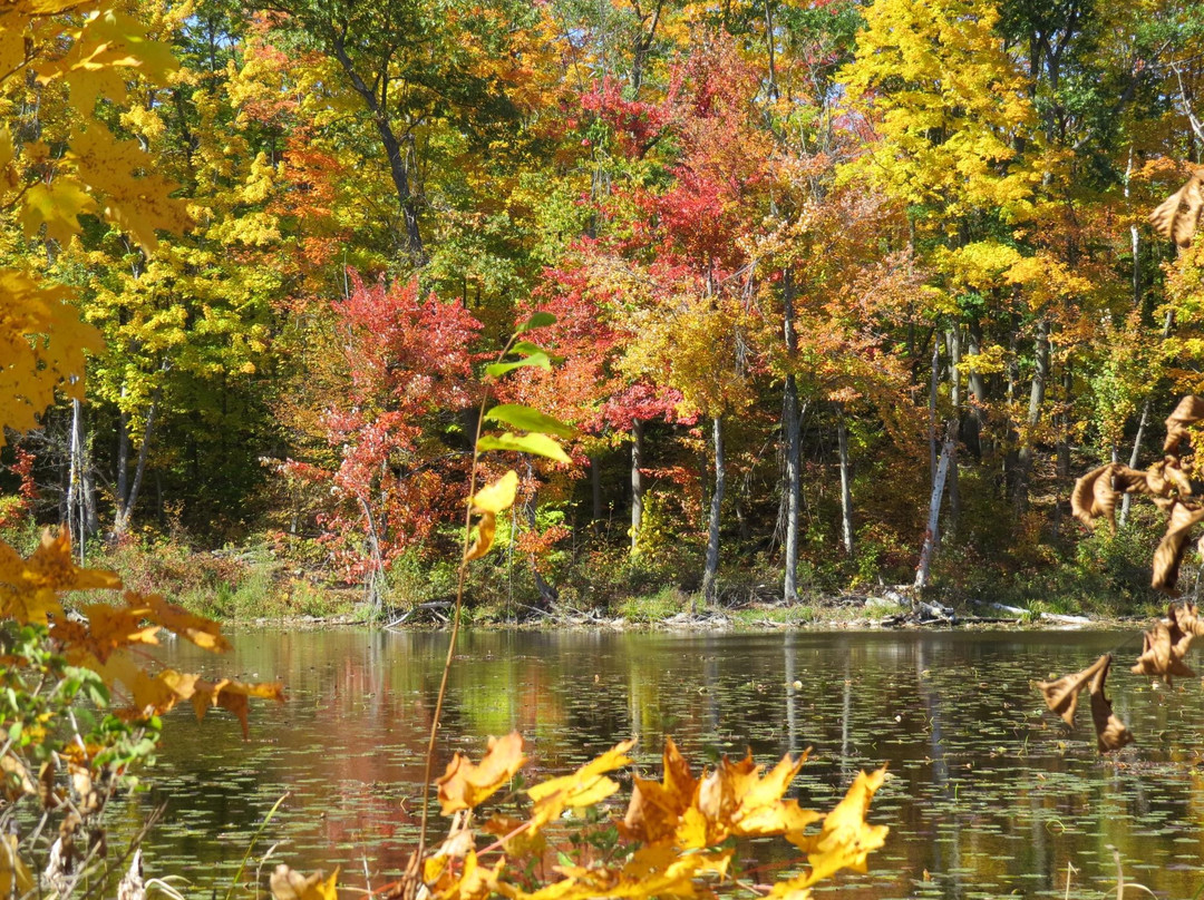 霍尔藤山市旅游攻略图片