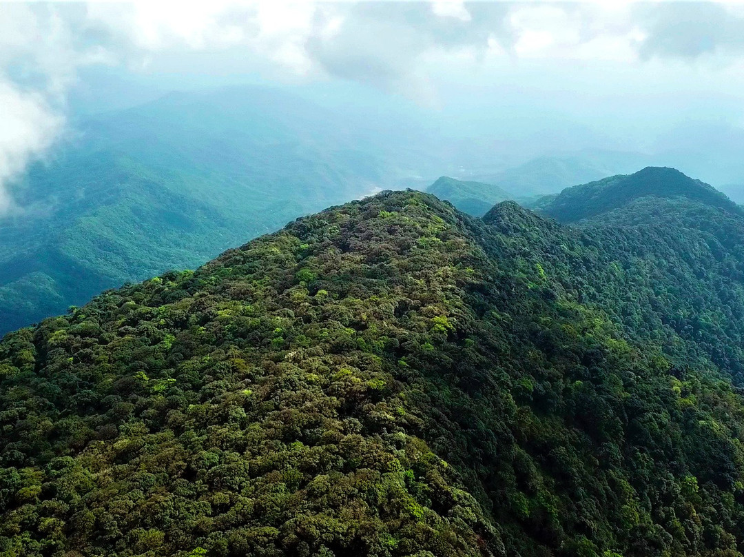 Nam Et-Phou Louey National Park景点图片