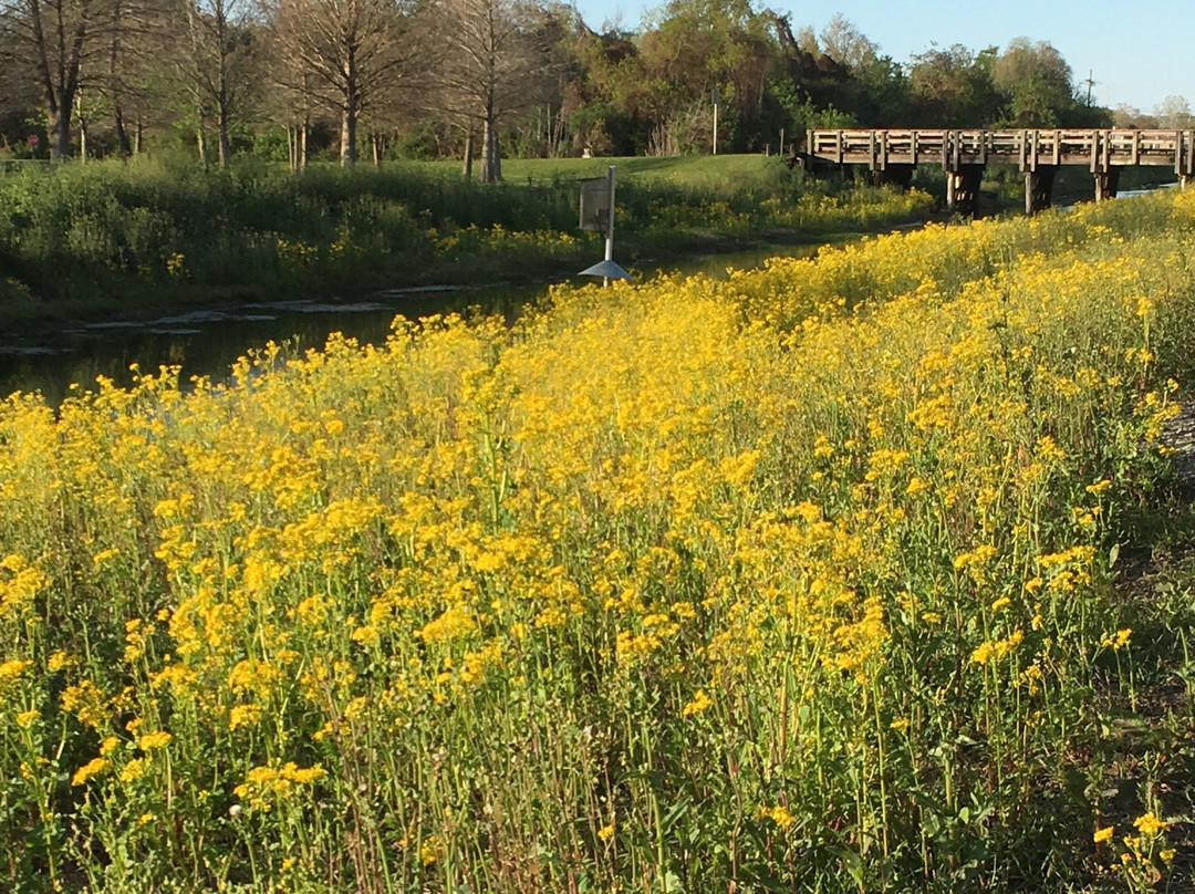 Westwego旅游攻略图片