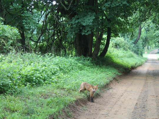 Earleville旅游攻略图片