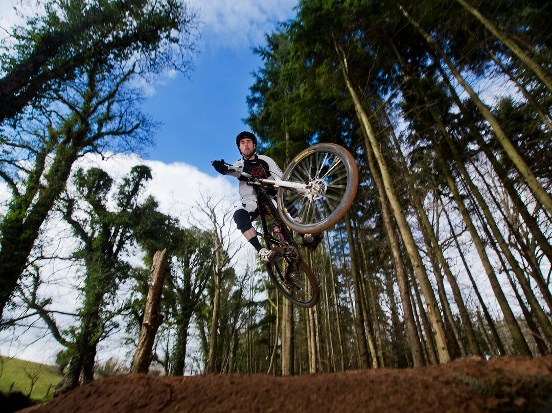 Barnett Demesne Mountain Bike Trails景点图片