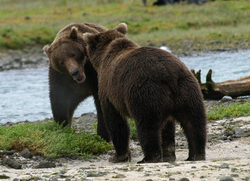Harvey Flying Service-科迪亚克岛必去景点