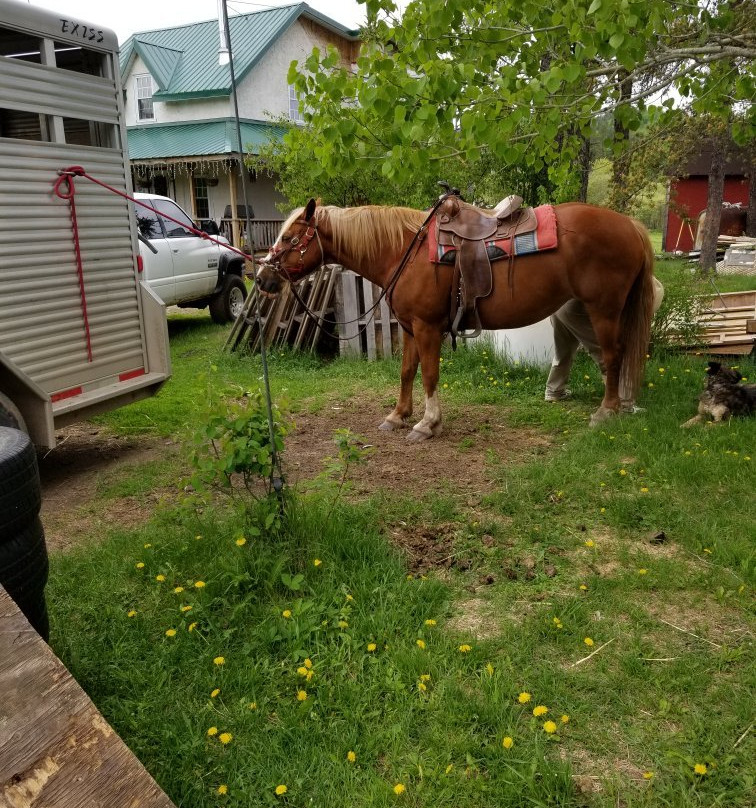 Whispered Dreams Ranch-Shabaqua必去景点