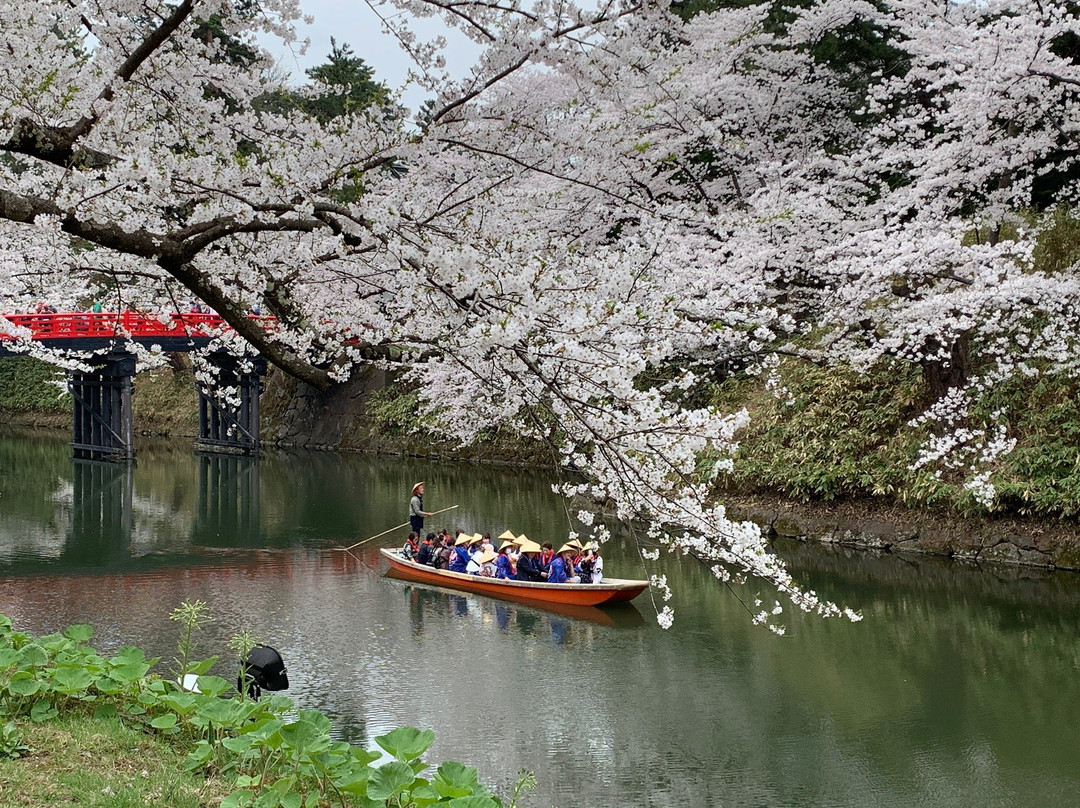 Hirosaki Cherry Blossom Festival景点图片