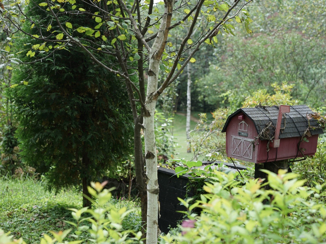 Art Museum Original Forest