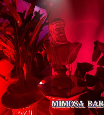 Mimosa Bar-第比利斯必去景点