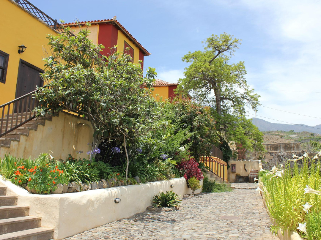 Fasnia酒店住宿-Hotel Rural La Raya 1866