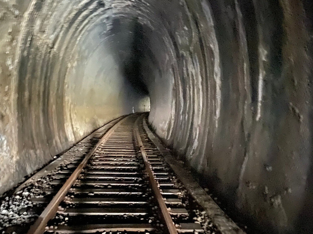 Carcoar Railway Tunnel景点图片
