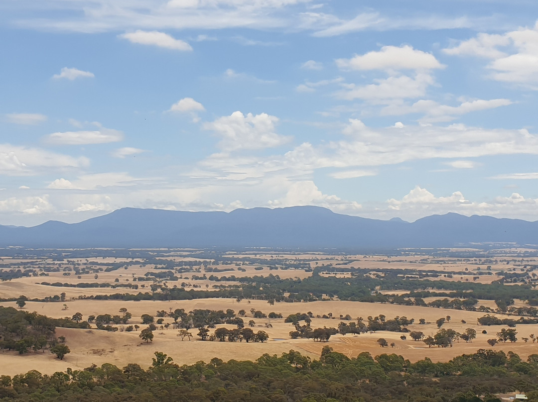 One Tree Hill Lookout-亚拉拉特山必去景点