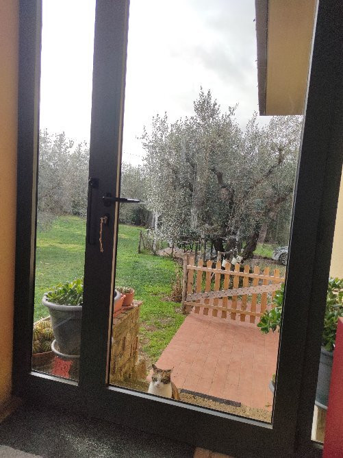 B&B La Casetta di Ben主图