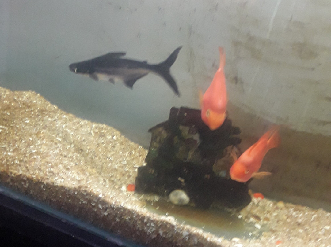 Hotel Grand Bee主图