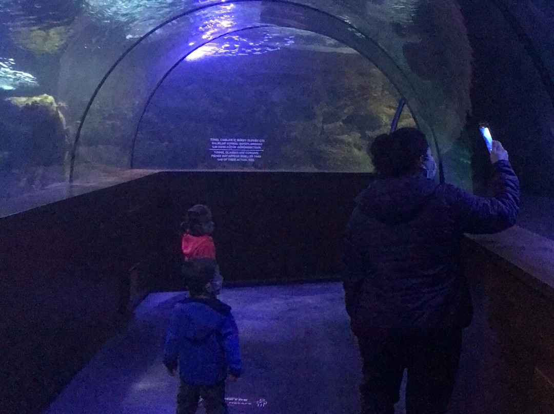 Aqua Vega Aquarium-安卡拉必去景点