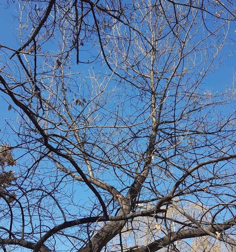 Segmenler Parkı-安卡拉必去景点