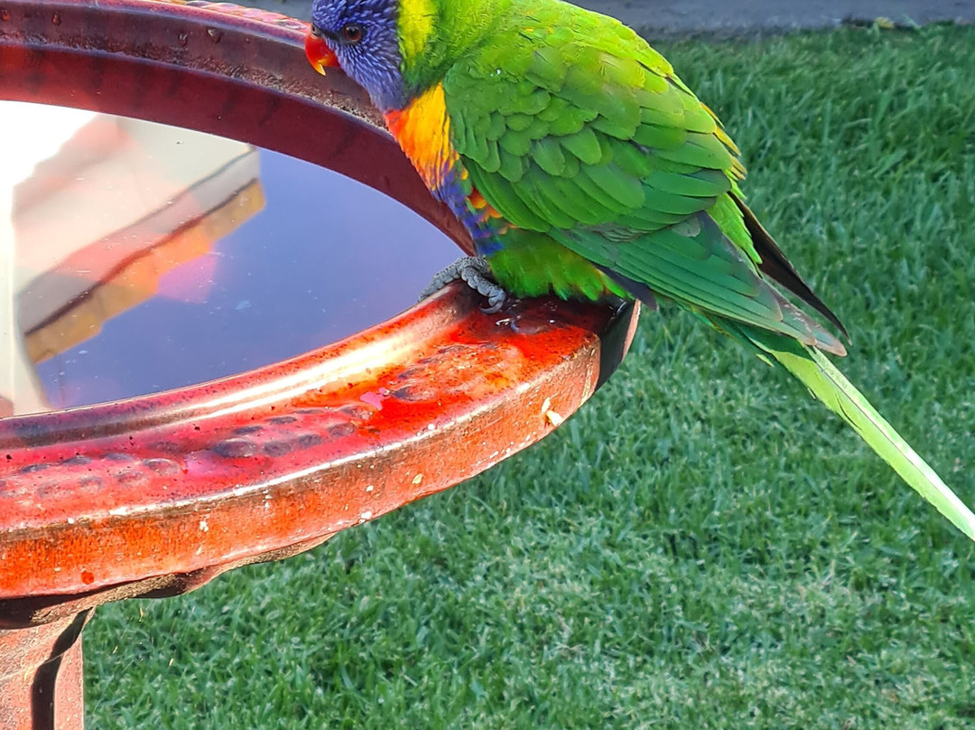 最佳西方海泉汽车旅馆主图