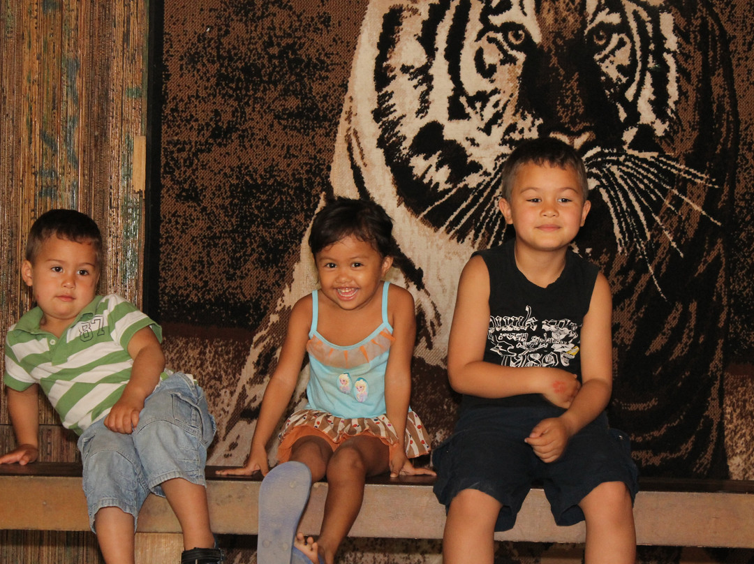 Zoobic Safari-苏比克湾自由贸易区必去景点