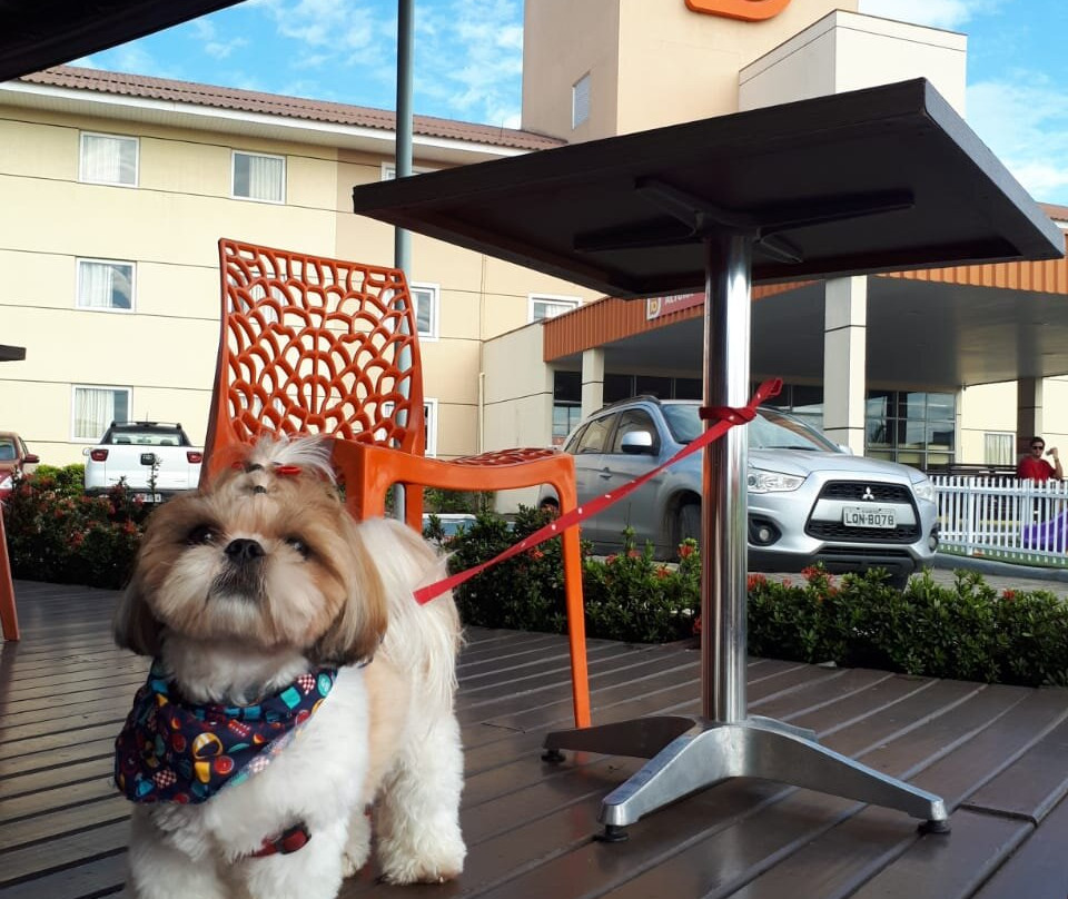 Hotel 10 Itajai主图