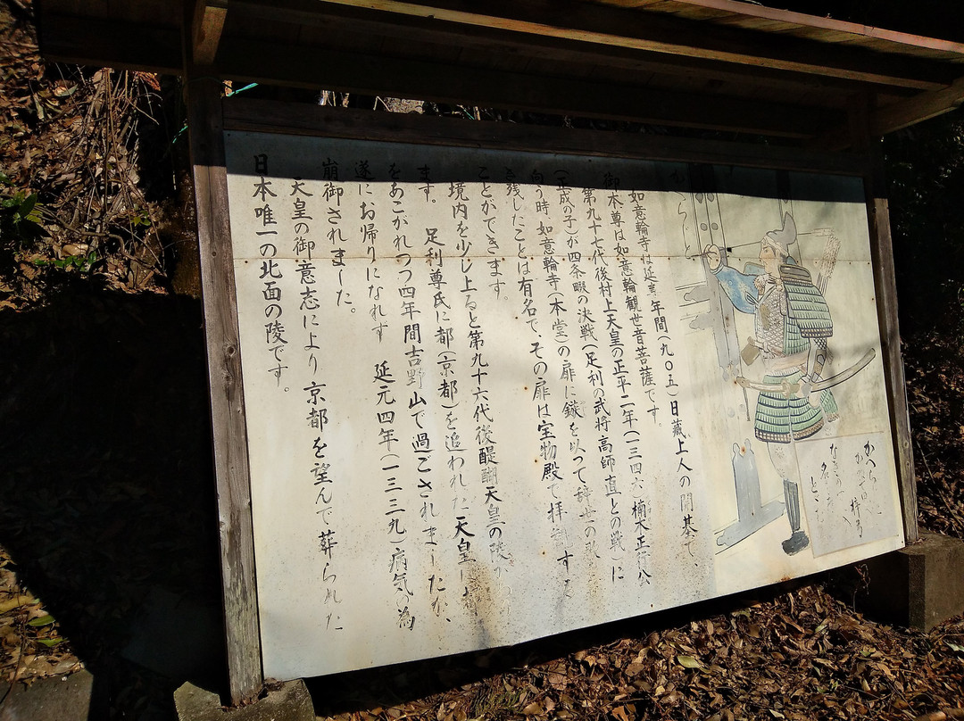 Nyoirinji Temple景点图片