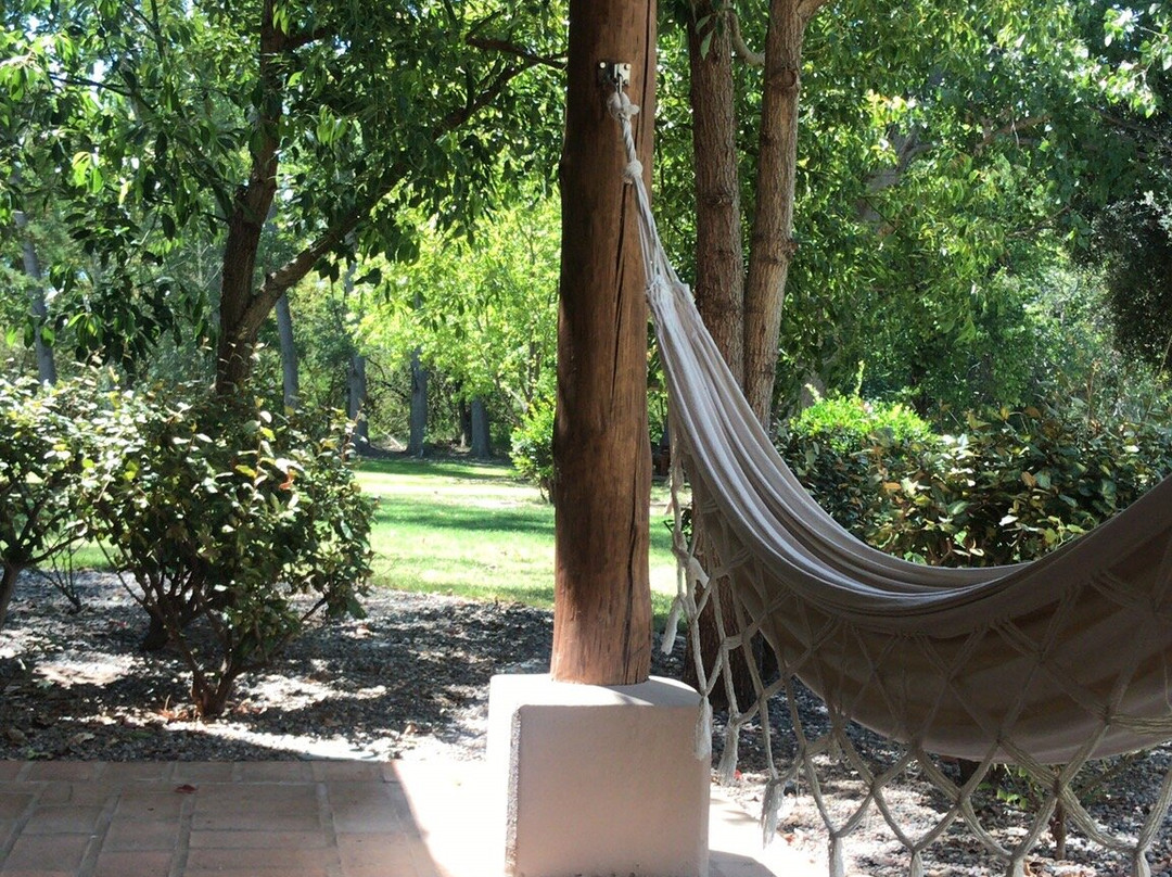 Algodon Wine Estates主图