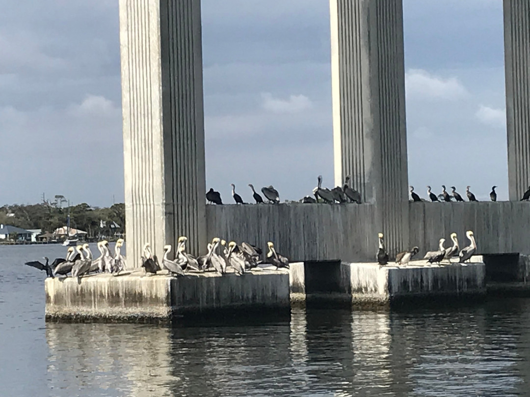 DolFun Tours景点图片