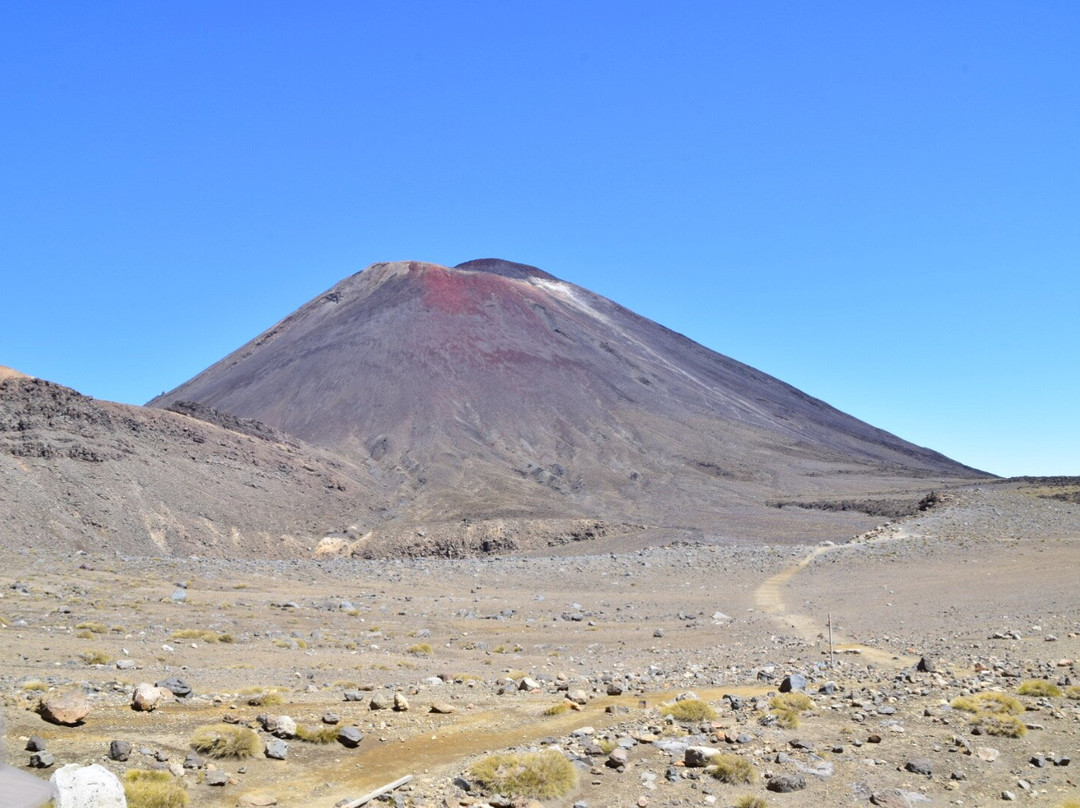 Waimarino Mountain Shuttles景点图片